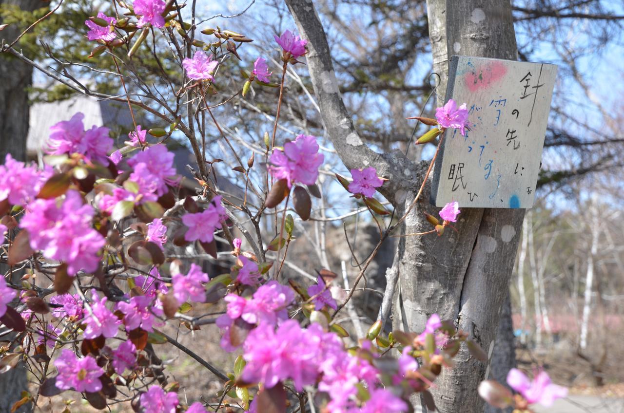 Artinn 極寒藝術伝染装置 Teshikaga Luaran gambar